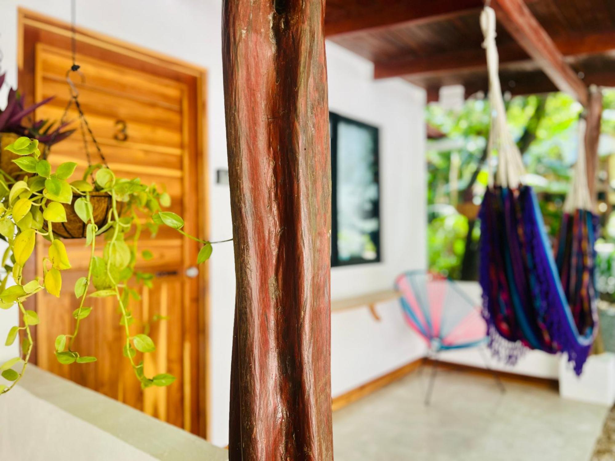 Calipso Ocean Lodge- Avellana Beach Hotel Playa Avellana Kültér fotó